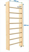 Шведская стенка Dinamika ZSO-003074, 220х100 см (массив.сосна)
