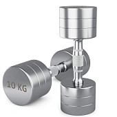 Гантели UNIX Fit PRO круглые, хромированные (10 кг, 2 шт)