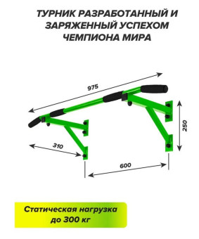 Турник Absolute Champion Aktiv (зеленый)