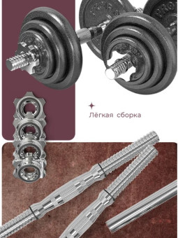 Гантели разборные PROIRON Г2100Ч (2 шт по 10 кг)