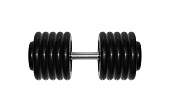 Гантель BARBELL "профи" (56 кг)