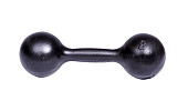 Гантель литая TITAN (8 кг)