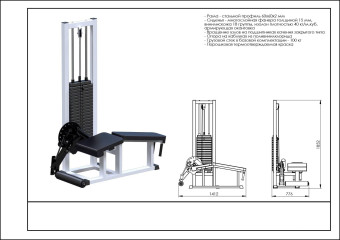 Разгибание ног Central Sport Pro, AR040