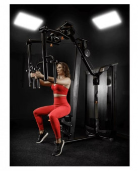 Баттерфляй задние дельты UltraGym UG-CL519