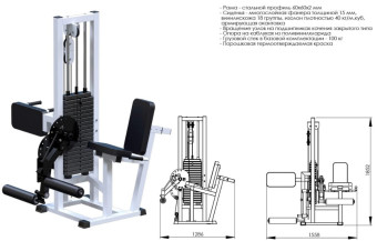 Разгибание ног сидя + сгибание стоя Central Sport Pro, AR041 (стек 100 кг)