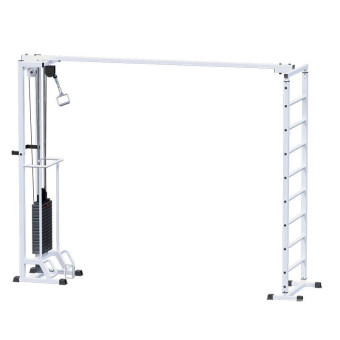Биотонус + шведская стенка Central Sport Pro, AR087.1х2400 (стек 100 кг)