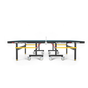 Теннисный стол DOUBLE FISH Indoor 226G (зеленый)