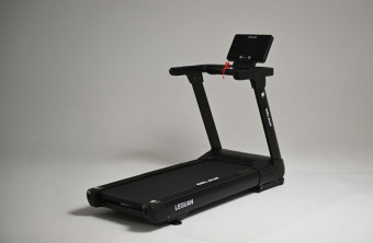 Беговая дорожка Orlauf Leguan