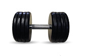 Гантель BARBELL "классик" (с вращающейся ручкой хром, 49 кг)