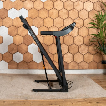 Беговая дорожка CARBON FITNESS T306 NEW