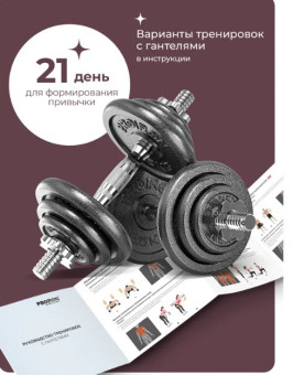 Гантели разборные PROIRON Г2100Ч (2 шт по 10 кг)