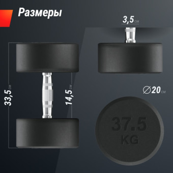 Гантели круглые обрезиненные UNIX Fit PRO (37.5 кг, 2 шт)