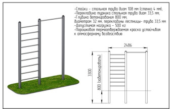 Турник с лестницей Central Sport Pro, ARWOK012