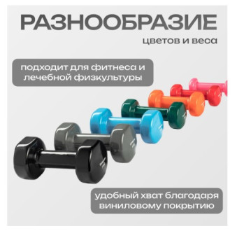 Набор для фитнеса Sundays Fitness Гантель IR92005 2х5кг + Коврик IR97506 (черный, серый)