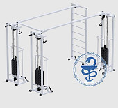 Биотонус-3+шведская стенка Central Sport Pro, AR087.3х2400 (стек 3х100кг)