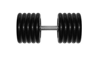 Гантель BARBELL "профи" (51 кг)