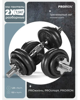 Гантели разборные PROIRON Г2075Ч (2 шт по 7.5 кг)