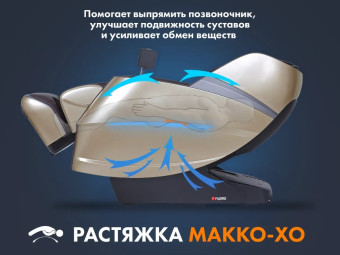 Массажное кресло FUJIMO Combat 4D (коричневый)