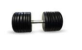 Гантель BARBELL "классик" (с вращающейся ручкой хром, 58 кг)