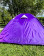 Палатка Сalviano ACAMPER ACCO 4 (пурпурный)
