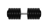 Гантель BARBELL "профи" (76 кг)