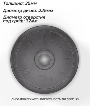 Набор дисков Absolute Champion (5 кг х 2шт)