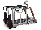 Беговая дорожка Spirit LW850