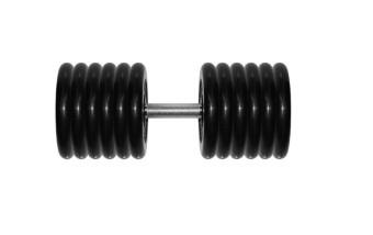 Гантель BARBELL "профи" (61 кг)