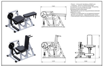 Сгибание-разгибание ног Central Sport Pro, AR077