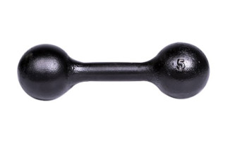 Гантель литая TITAN (5 кг)