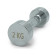 Гантели UNIX Fit PRO круглые, хромированные (2 кг, 2 шт)
