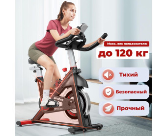 Спин-байк DFC Pooboo магнитный