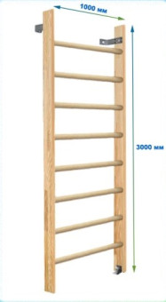 Шведская стенка Dinamika ZSO-000075, 300х100 см (щит.сосна)