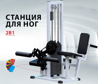 Разгибание ног сидя + Сгибание ног лежа Central Sport Pro, AR053 (стек 100 кг)