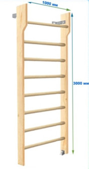 Шведская стенка Dinamika ZSO-002575 с турником, 300х100 см (массив.сосна)