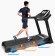 Беговая дорожка Ammity Dim DTM 5018 TFT