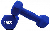 Гантель Profit MDK-101-4, 1шт (1кг)