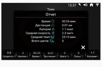 Беговая дорожка Ammity Fashion FTM 5120 TFT