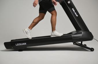 Беговая дорожка Orlauf Leguan