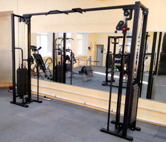 Кроссовер Central Sport Pro, AR081.2х100 (на базе блочной рамы, стек 2х100)