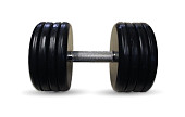 Гантель BARBELL "классик" (с вращающейся ручкой хром, 48 кг)