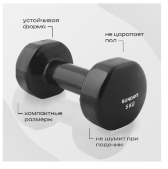 Набор для фитнеса Sundays Fitness Гантель IR92005 2х5кг + Коврик IR97506 (черный, серый)