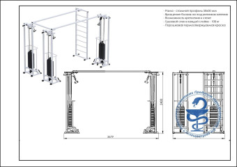 Биотонус-3+шведская стенка Central Sport Pro, AR087.3х2400 (стек 3х100кг)