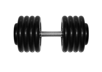 Гантель BARBELL "профи" (43.5 кг)