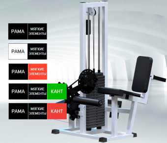 Разгибание ног сидя + Сгибание ног лежа Central Sport Pro, AR053 (стек 100 кг)