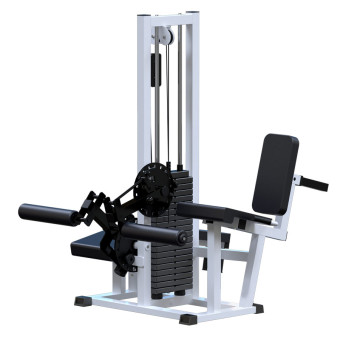 Разгибание ног сидя + Сгибание ног лежа Central Sport Pro, AR053 (стек 100 кг)