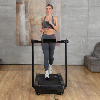 Беговая дорожка Orlauf Terra (черный)