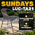 Стул садовый Sundays LUC-TA21 (коричневый)