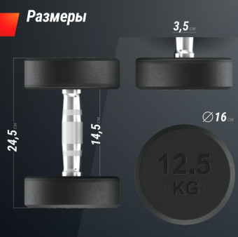 Гантели круглые обрезиненные UNIX Fit PRO (12.5 кг, 2 шт)