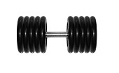Гантель BARBELL "профи" (53.5 кг)